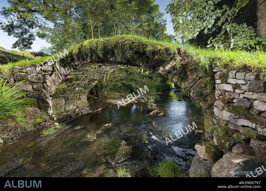 Medieval packhorse bridge, Fawcett Mill Fields, Gaisgill, Tebay, Cumbria, c2016. View from the west.