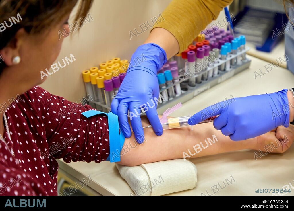 Nurse performing a blood draw, Antiguo Health Center, Donostia, San Sebastian, Gipuzkoa, Basque Country, SpainExtracción de sangre, Ambulatorio Antiguo, Centro de Salud, Osakidetza, Donostia, San Sebastian, Gipuzkoa, Basque Country.