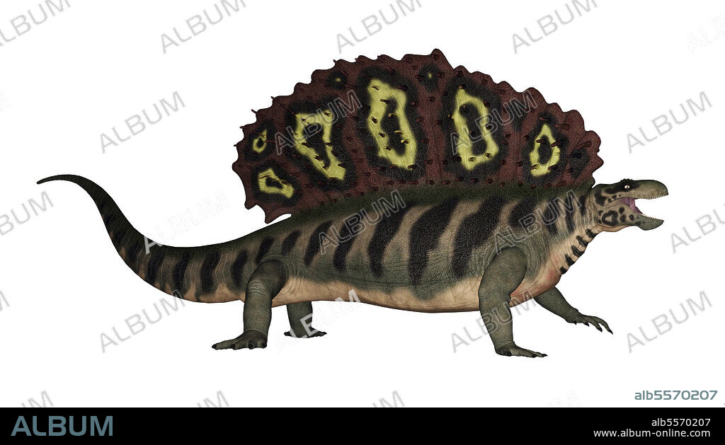 Edaphosaurus prehistoric animal, isolated on white background.