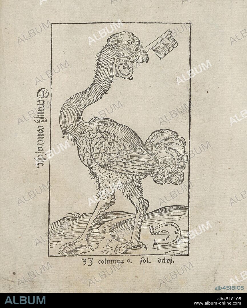 Strauss contrafeht, Illustration of a 16th century ostrich, Fig. 39, according to S. DCLVI, 1544, Sebastian Münster: Cosmographia. Beschreibung aller Lender durch Sebastianum Münsterum: in welcher begriffen aller Voelker, Herrschaften, Stetten, und namhafftiger Flecken, herkommen: Sitten, Gebreüch, Ordnung, Glauben, Secten und Hantierung durch die gantze Welt und fürnemlich Teütscher Nation [...]. Das sechst Buch. Basel: durch Henrichum Petri, 1544.