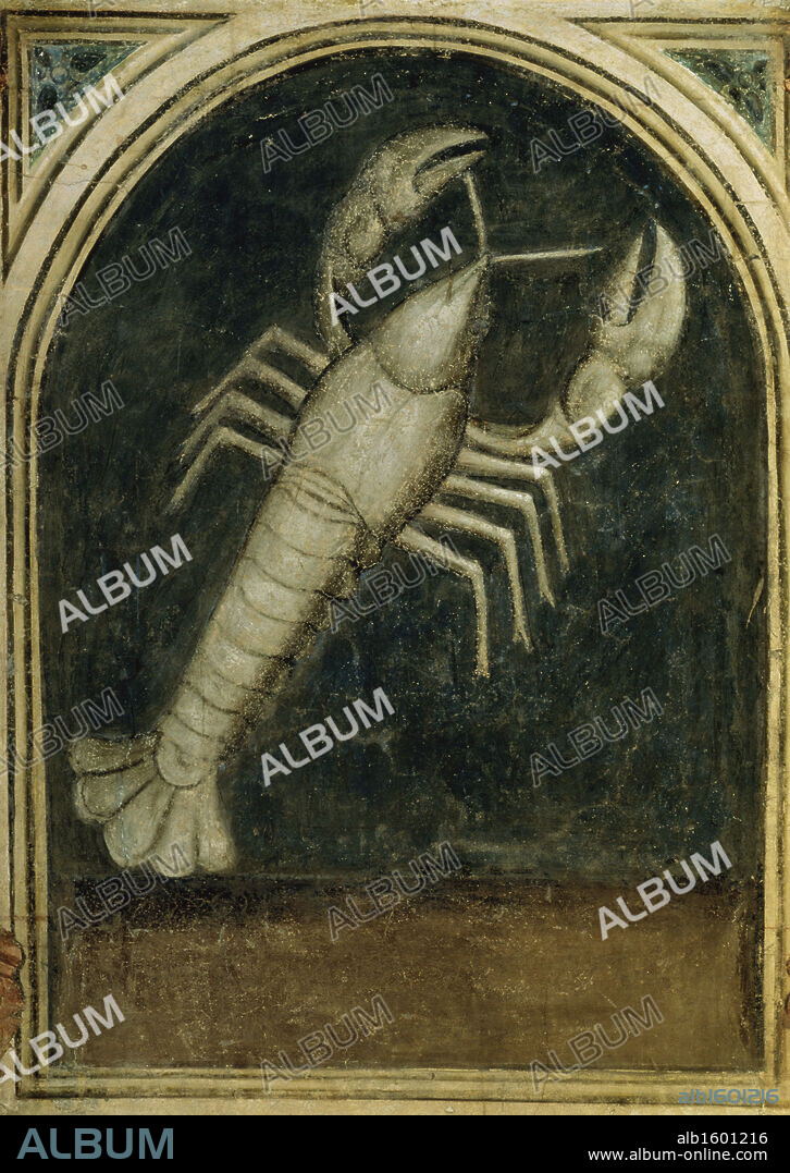 Cancer - Astrology  Artist Unknown  Palazzo della Ragione, Padua, Italy.