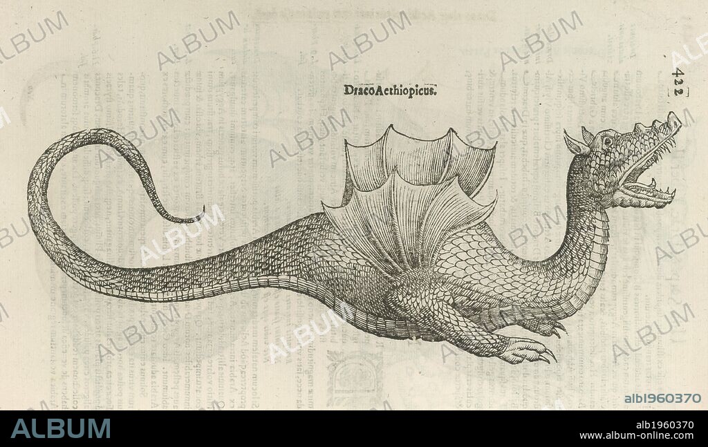 ULISSE ALDROVANDI. A 17th century woodcut depicting a winged serpent. Vlyssis Aldrouandi Serpentum, et draconuÌ„ historiÃ¦ libri duo. B. Ambrosinus opus concinnauit, etc. [With woodcuts.]. Apud C. Ferronium: BononiÃ¦, 1640. ALDROVANDI, Ulisse. Source: 459.b.5.(2) page 422. Language: Latin.