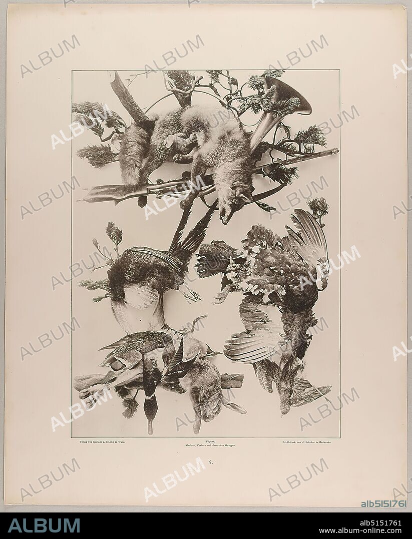 Martin Gerlach, J. Schober, publishing house Gerlach and Schenk, 4th ed. Vignettes and festoon group of hunting implements, fox, pheasant, capercaillie, wild duck, hare and triel, Staatliche Landesbildstelle Hamburg, collection on the history of photography, paper, collotype, sheet size: height: 40.10 cm; width: 32.10 cm, inscribed: recto: Verlag von Gerlach & Schenk in Vienna, Déposé. Gerlach, Festons and decorative groups, collotype by J. Schober in Karlsruhe. Numbering, Landesbildstelle, handwritten inv. no, photography, plants and herbs, rifle, animals, fox, birds.