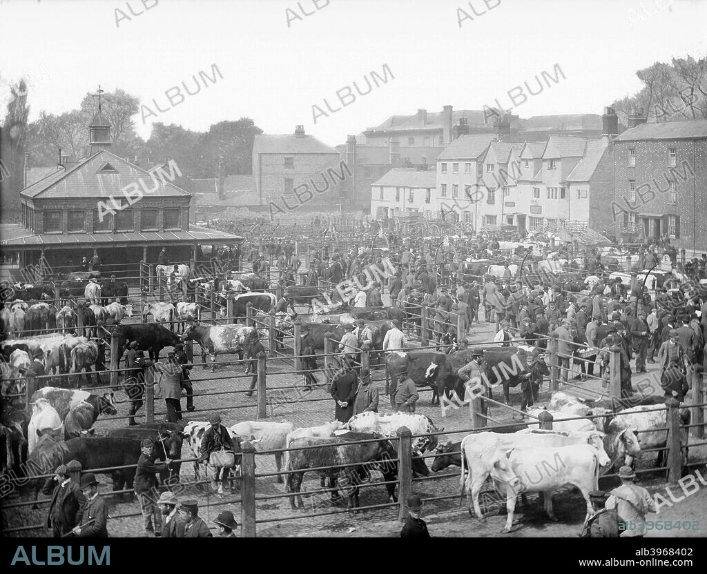 The cattle market at Gloucester Green, Oxford, Oxfordshire, c1860-c1922.