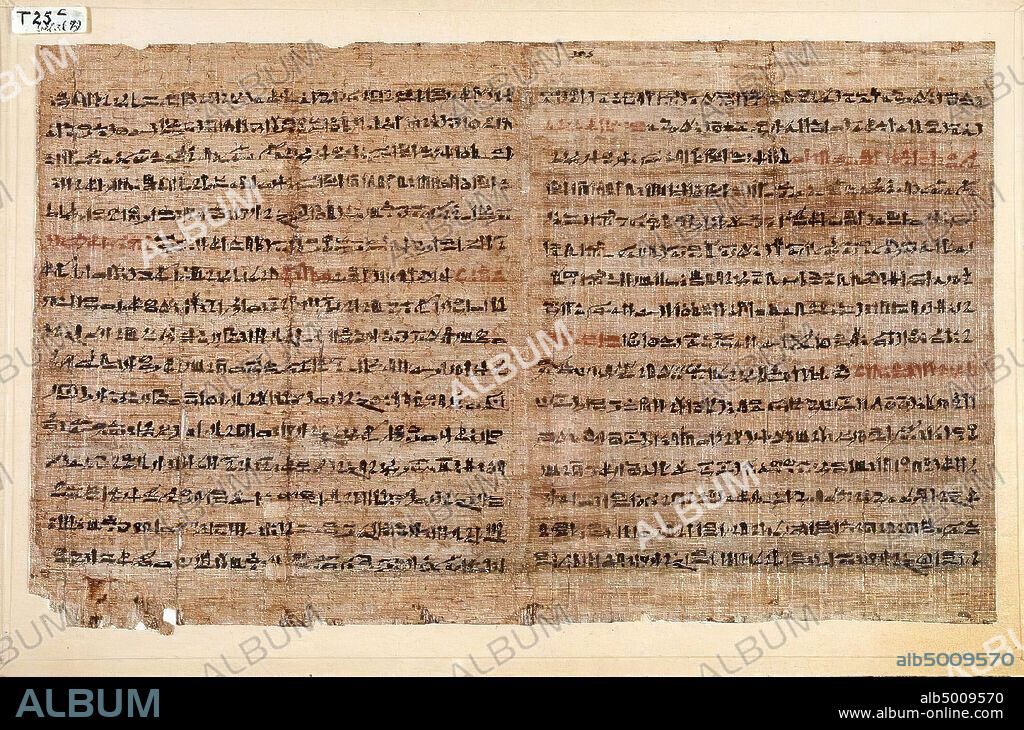Egypt, handwriting, hieratic, papyrus, 24 x 40 cm.