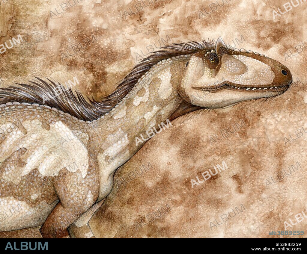 Allosaurus is a genus of large theropod dinosaur that lived during the late Jurassic period.