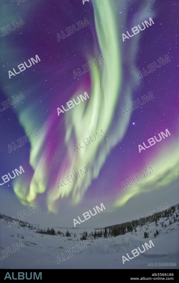 February 16, 2015 - The Northern Lights in Churchill, Manitoba, Canada, at 58 degrees latitude, and under the auroral oval. Jupiter is at right, the Big Dipper at left.