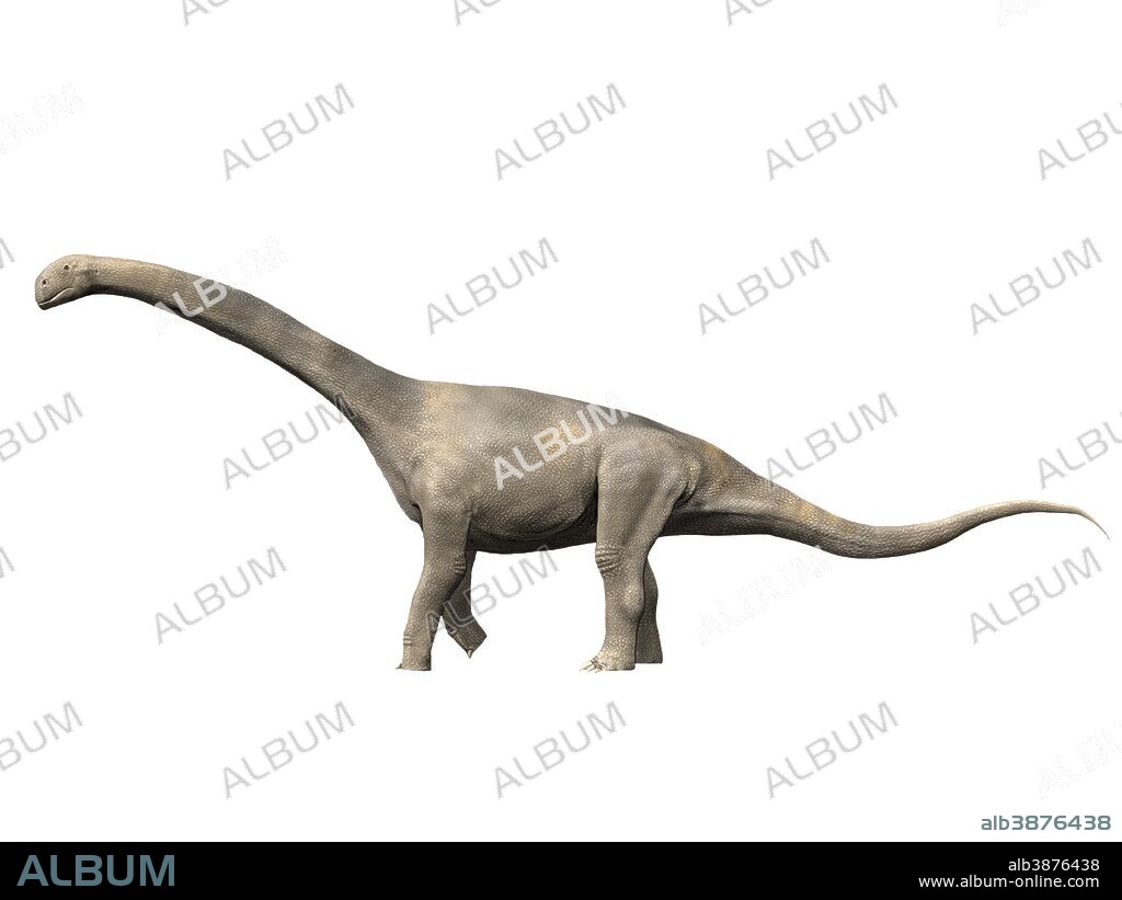 Turiasaurus riodevensis, Late Jurassic or Early Cretaceous of Spain.