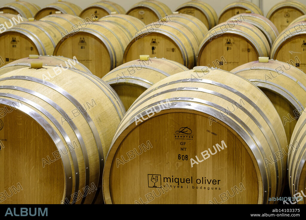 wine barrels, Miquel Oliver Wineries, Petra, Mallorca, Balearic Islands, Spain, Europe.