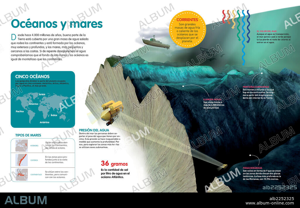 Mares y océanos. Infografía que explica la diferencia entre mar y océano, los tipos de mares, la salinidad del agua y el relieve del fondo marino.