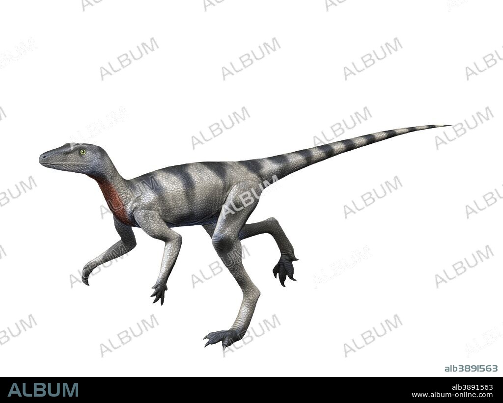 Saltopus elginensis is an extinct dinosaur from the Late Triassic of Scotland.