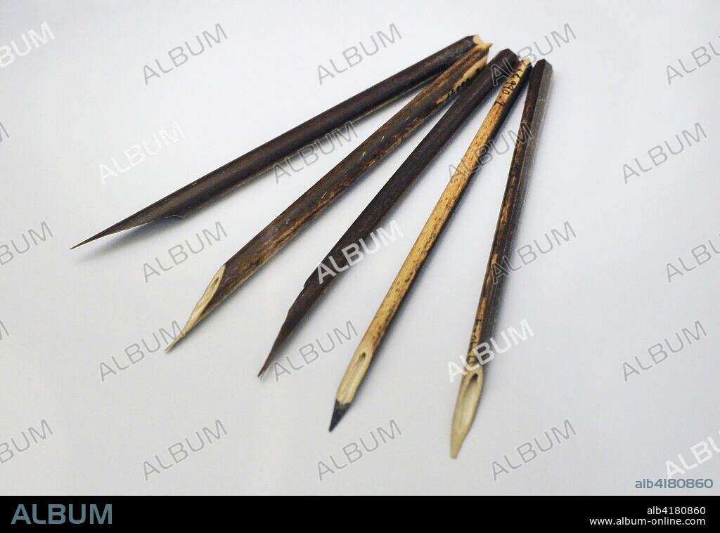 Calamus or reed pens. They were used by the expeditionaries to draw (Swedish expedition). Sweden. Last third of the 19th century. Museum of the Americas. Madrid, Spain.
