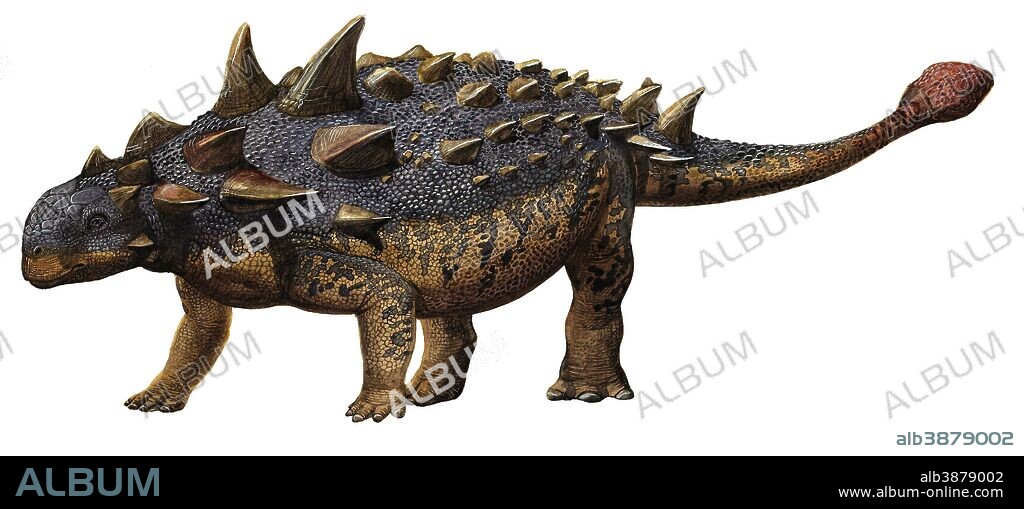 Euoplocephalus tutus, a prehistoric era dinosaur from the Late Cretaceous period.