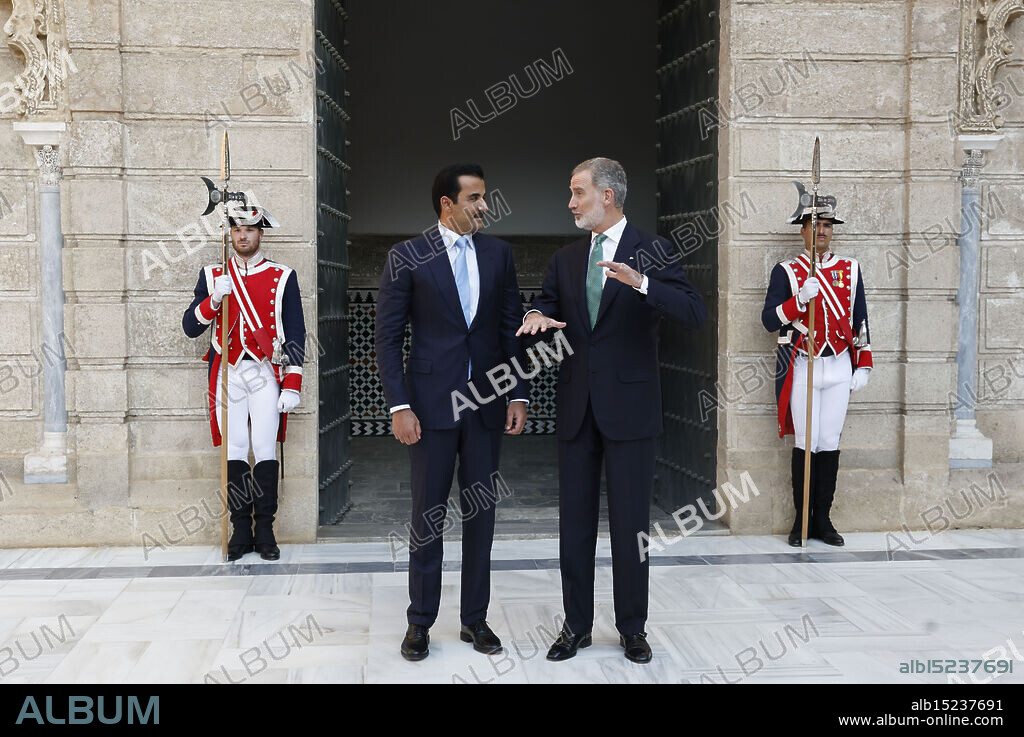 King Felipe VI of Spain, Tamim Bin Hamad Al Thani attends at Reales Alcazares on June 29, 2025 in Sevill, Spain.