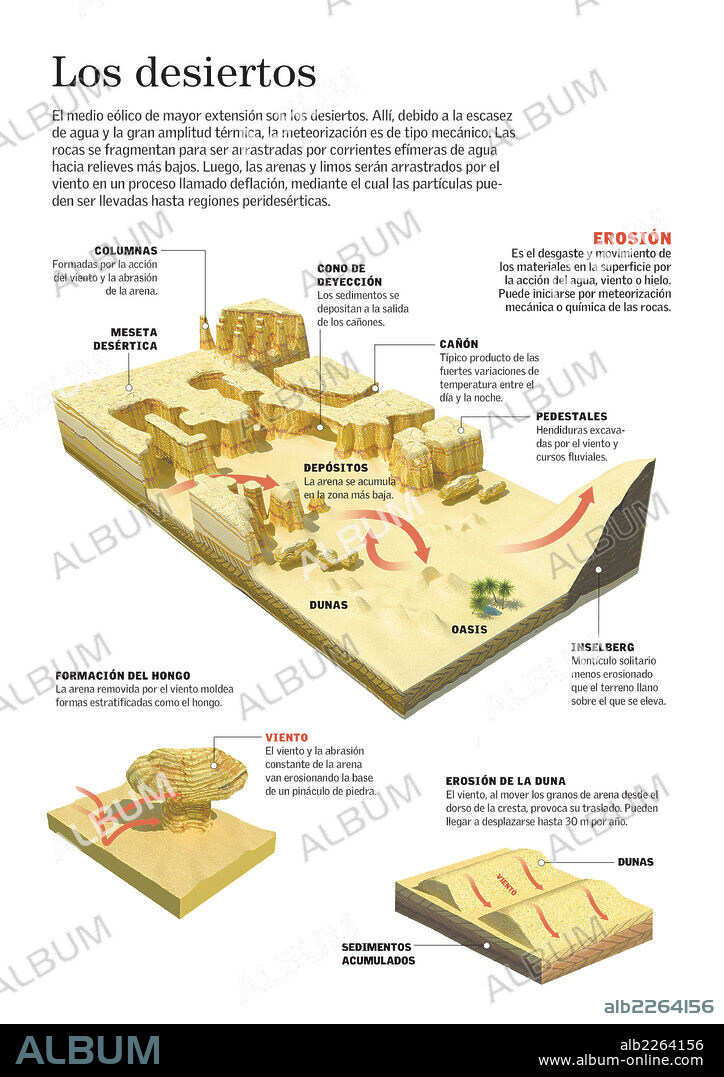 deserts. Infographic about the desert -the largest environment sculpted by wind- , and the different sand compositions that form in it.