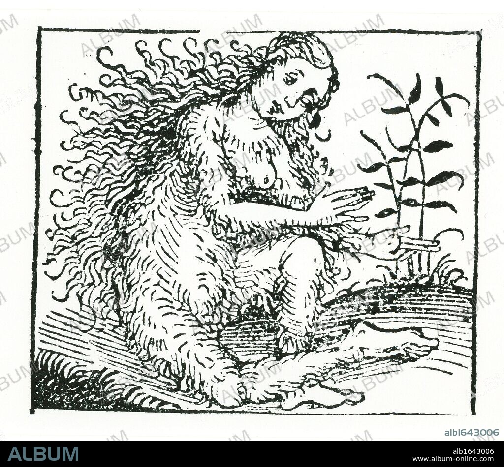 Hirsute woman, a member of a tribe believed by the ancients to inhabit certain regions of the earth. From Hartmann Schedel "Liber chronicarum mundi" (Nuremberg Chronicle) Nuremberg, 1493.