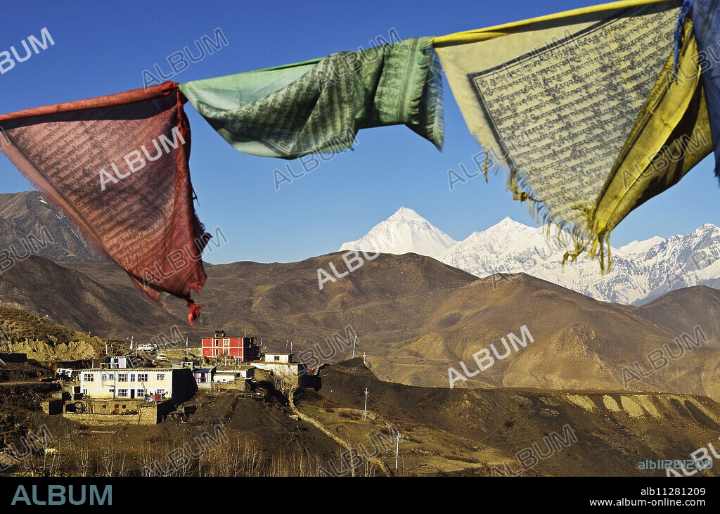 Muktinath and Dhaulagiri Himal, Muktinath Valley, Annapurna Conservation Area, Mustang District, Dhawalagiri (Dhaulagiri), Western Region (Pashchimanchal), Nepal, Himalayas, Asia.