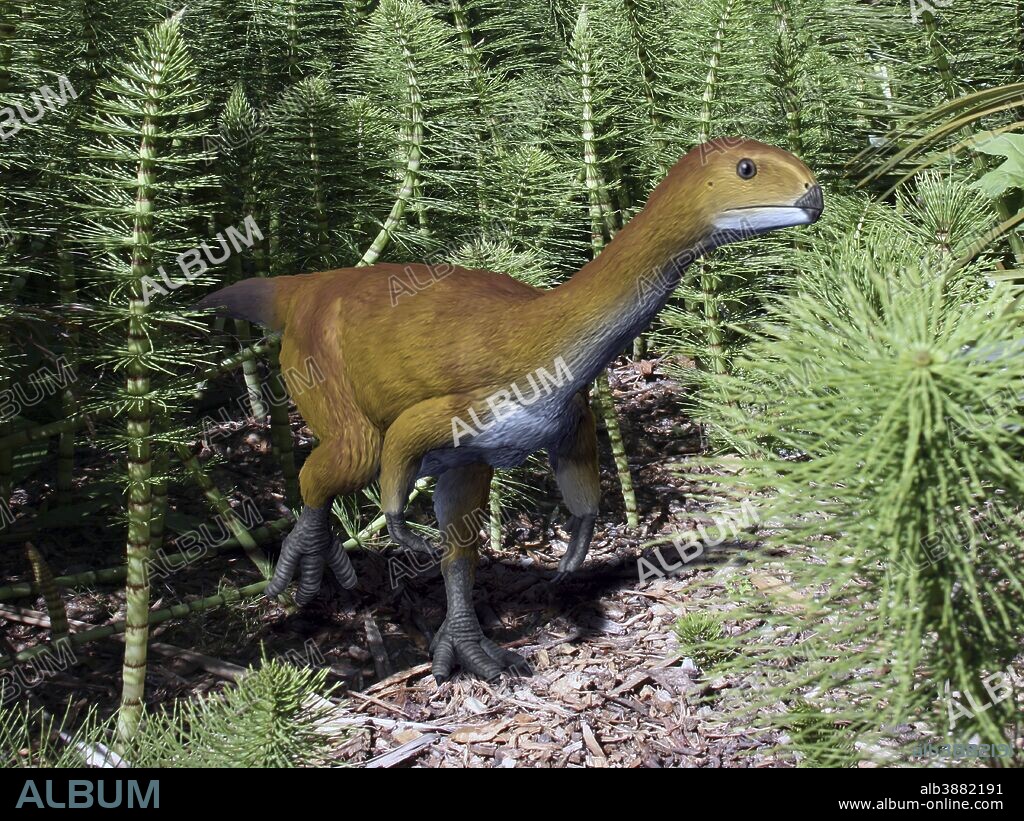 Chilesaurus diegosuarezi is an extinct theropod dinosaur from the Late Jurassic of Chile.