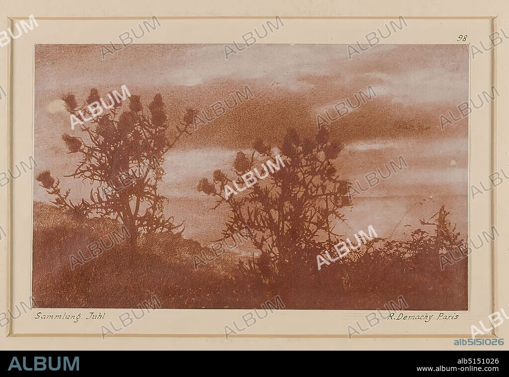 Robert Demachy, thistles, paper, passepartout cardboard, gum print, image size: height: 11,20 cm; width: 18,30 cm, inscription: recto: above the image: 98, below the image: Juhl Collection - R. Demachy Paris, stamp of the Landesbildstelle and stamp of the nature photography, artistic photography, coast, landscape with plants, vegetation.