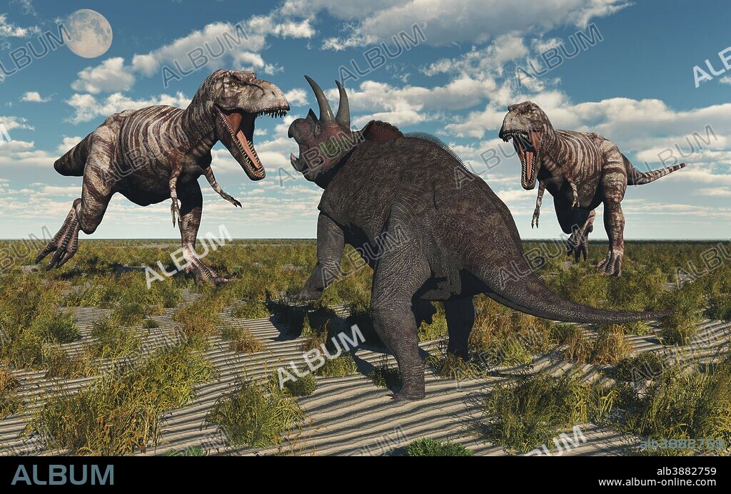 A pair of predatory T-rex dinosaurs attacking a lone Triceratops during Earth's Cretaceous period.
