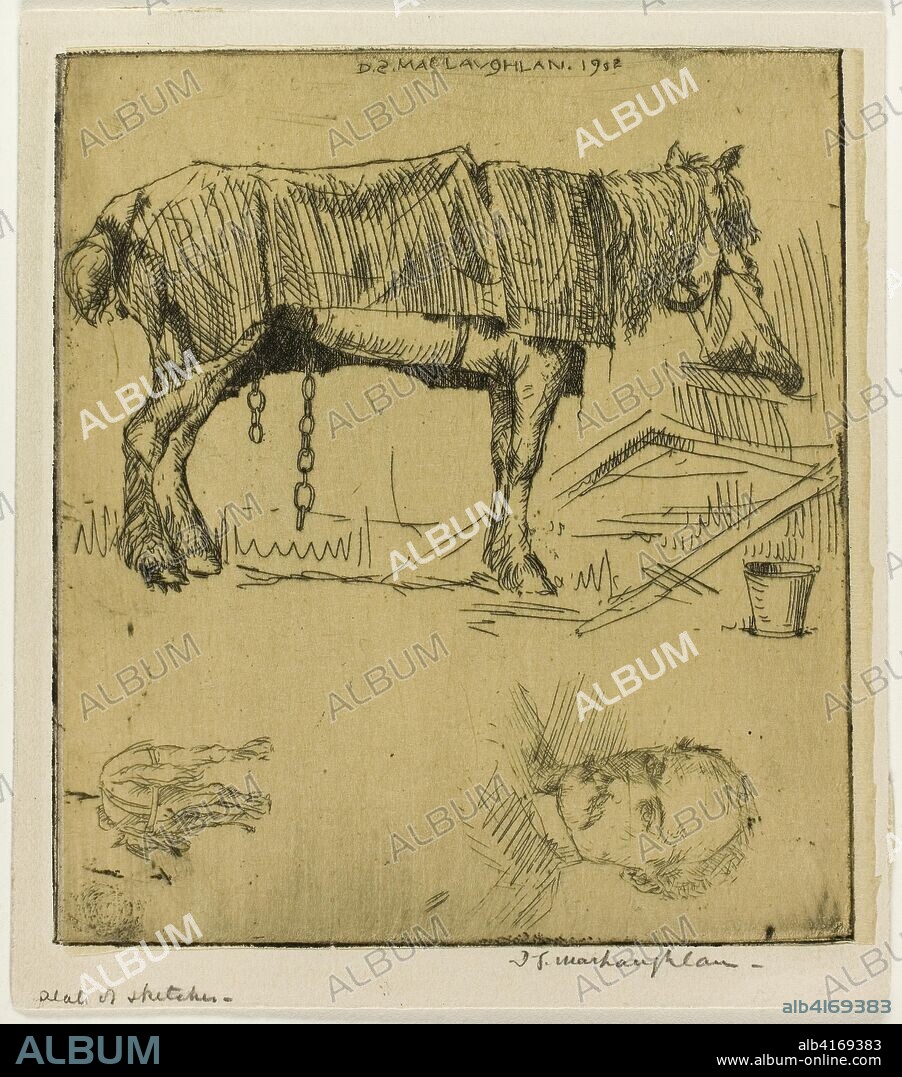 Plate of Sketches. Donald Shaw MacLaughlan; American, born Canada, 1876-1938. Date: 1902. Dimensions: 122 x 109 mm (image/plate); 122 x 112 mm (primary support); 137 x 120 mm (secondary support). Etching in black on tan chine, laid down on cream wove paper. Origin: United States.