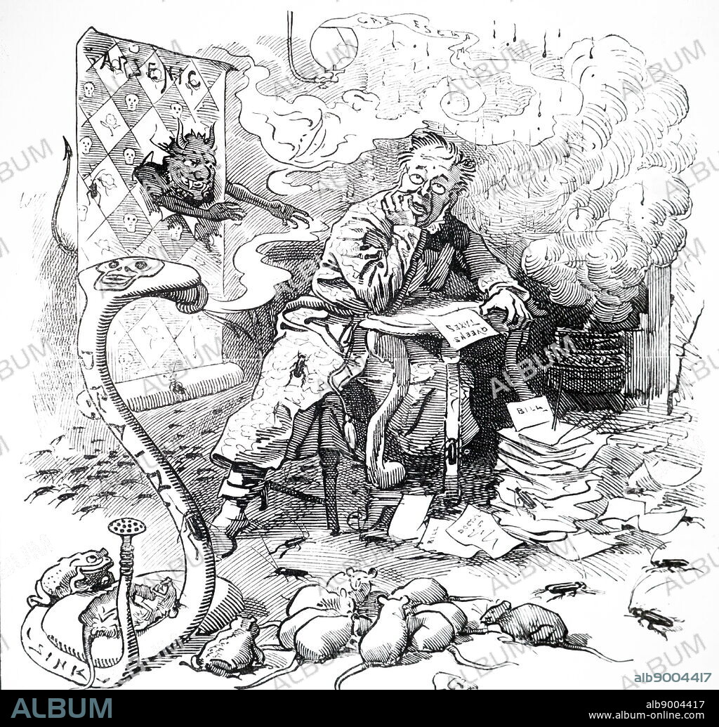 A cartoon commenting on the hazards of a 19th Century household, including taxes, rats, black beetles, cockroaches, arsenic fumes, stinking drains, gas leaks and smoking fires. Dated 19th Century.