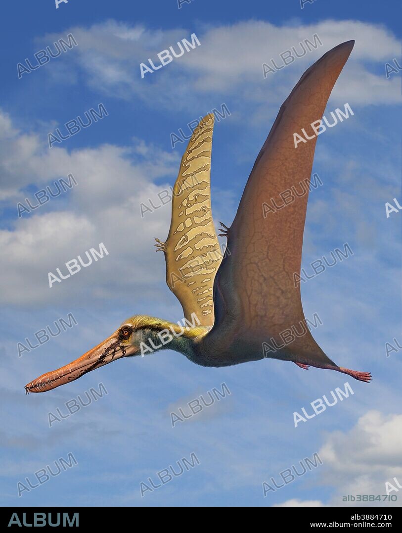 Cearadactylus atrox, a large pterosaur from the Early Cretaceous period.
