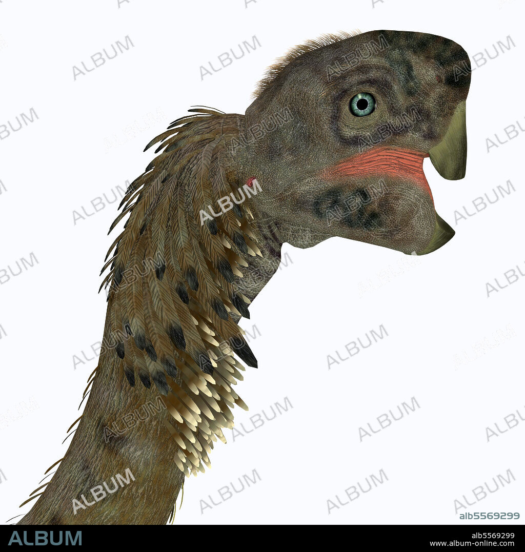 Citipati female dinosaur head. Citipati was a carnivorous Velociraptor dinosaur that lived in Mongolia during the Cretaceous Period.