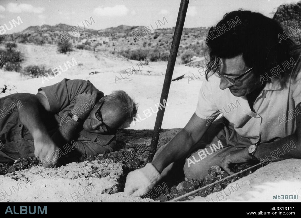 Editorial use only . Undated photograph of Louis and Mary Leakey digging at Oduvai Gorge, Tanzania, Africa. Louis Seymour Bazett Leakey (August 7, 1903 - October 1, 1972) was a Kenyan archaeologist and naturalist whose work was important in establishing human evolutionary development in Africa, particularly through his discoveries in the Olduvai Gorge. In natural philosophy he asserted Darwin's theory of evolution unswervingly and set about to prove Darwin's hypothesis that humans arose in Africa. In 1972 he suffered a heart attack and died at the age of 69. Mary Douglas Nicol Leakey (February 6, 1913 - December 9, 1996) was an English archaeologist and anthropologist, who discovered the first fossilized Proconsul skull, an extinct ape now believed to be ancestral to humans, and also discovered the robust Zinjanthropus boisei skull ( AKA Australopithecus boisei, now classified as Paranthropus boisei) at Olduvai Gorge. She died in 1996 at the age of 83.