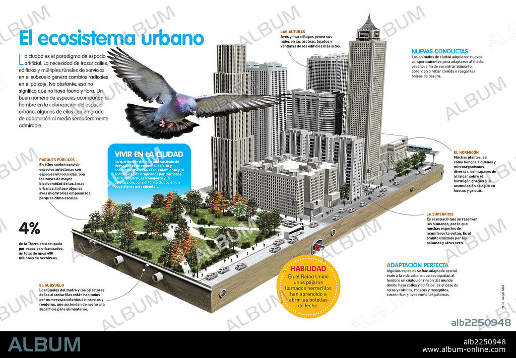 El ecosistema urbano. Infografía de cómo la fauna y la flora se adapta a los medios urbanos.