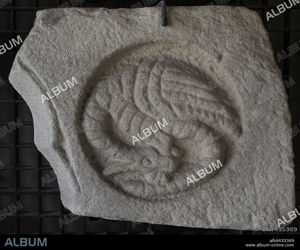 Dovela con la representación de un dragón. Siglo XIV. Convento de Santo Domingo (La Coruña). Museo Arqueológico e Histórico (Castillo de San Antón). La Coruña. Galicia. España.