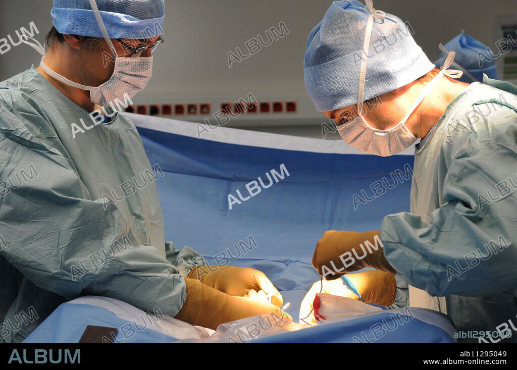 Photo essay at Lyon hospital. Department of urology. Phalloplastie, operation of plastic surgery to create a phallus, required to complete a change of sex, following a hystéro-ovariectomie.This takes place in two steps. Here step 2. Step 1: it's the creation of a neo-penis from a fragment of skin taken from the arm. The skin, the nerves, the veins and the arteries are taken from the not dominant arm to constitute the urethra, the acorn and the penis. The vaginal cavity is blocked and the big lips are used for the scrotum. The nerves which innervate the clitoris are protected, they will innervate the penis, in order to keep an orgasmic capacity after the intervention. Step 2: after the penis found its sensibility, testiculaires implants and implant are added to make an erection possible on demand.