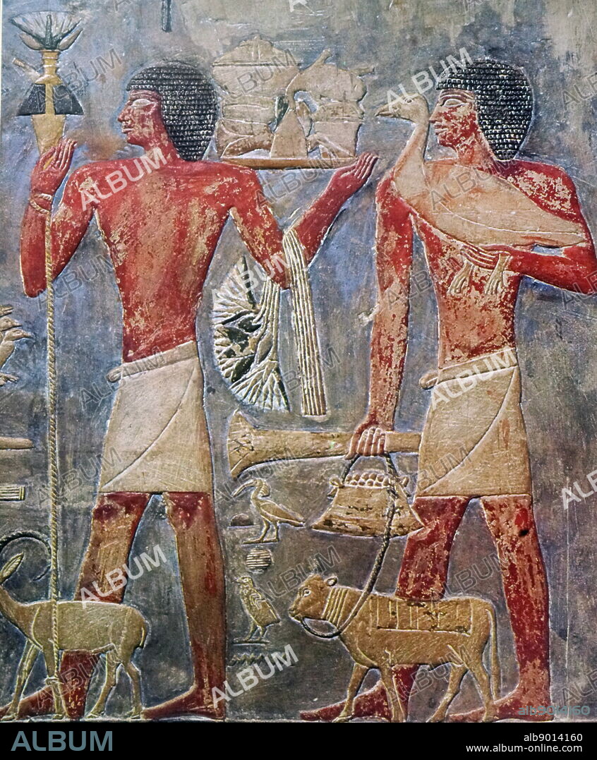 Egyptian tomb painting showing men carrying food as offerings to the Gods. From the Tomb of Ti at Saqqara. well-preserved Mastaba of Ti is located at the northern edge of the Saqqara necropolis, about 300m north of the Philosophers Circle. Ti held the titles of Overseer of the Pyramids of Niuserre, and Overseer of the Sun-Temples of Sahure. Old Kingdom circa 2690 to 2190.
