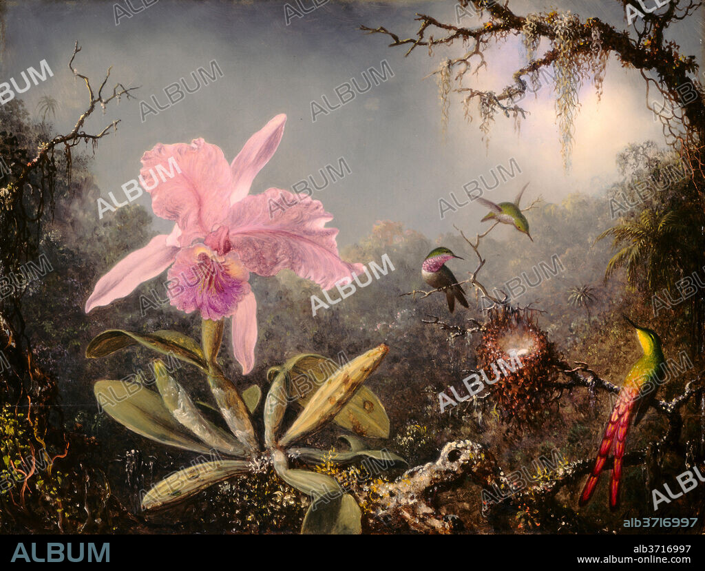 MARTIN JOHNSON HEADE. Cattleya Orchid and Three Hummingbirds. Dated: 1871. Dimensions: overall: 34.8 x 45.6 cm (13 11/16 x 17 15/16 in.)  framed: 63.8 x 74.6 x 8.9 cm (25 1/8 x 29 3/8 x 3 1/2 in.). Medium: oil on wood.