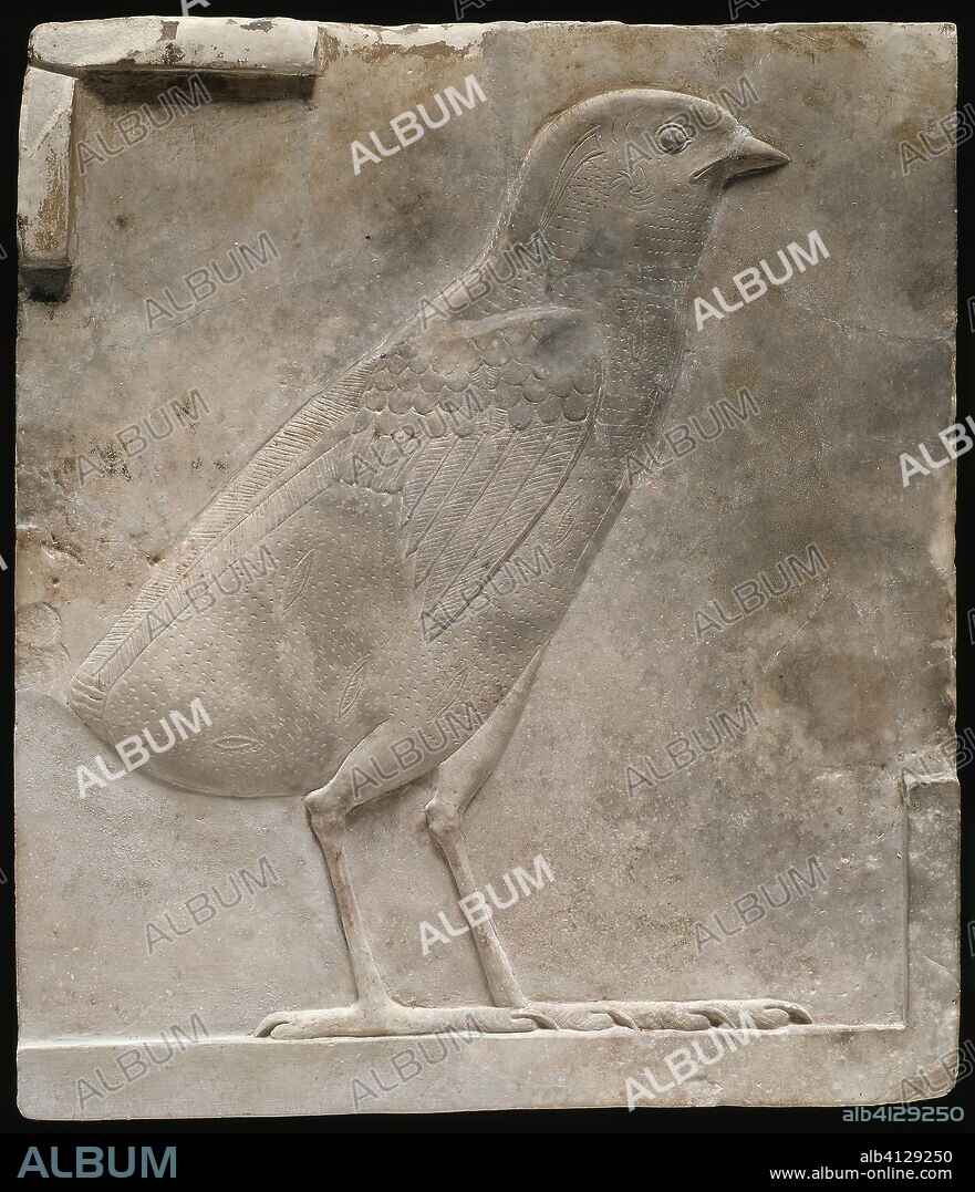 ANCIENT EGYPTIAN. Plaque Depicting a Quail Chick. Egyptian. Date: 332 BC-30 BC. Dimensions: 12 × 13.2 × 1.3 cm (4 3/4 × 5 1/4 × 1/2 in.). Limestone. Origin: Egypt.