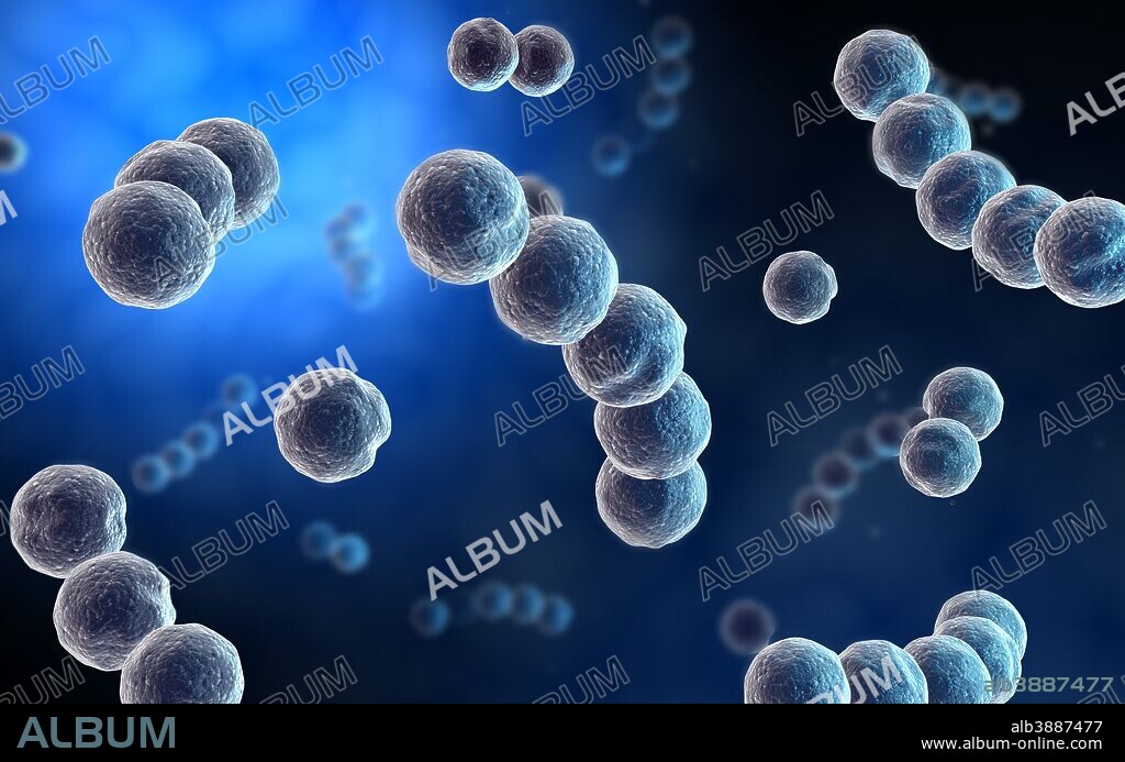 Microscopic view of streptococcus.