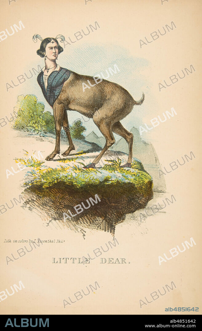 HENRY LOUIS STEPHENS and L. ROSENTHAL. Little Dear, from The Comic Natural History of the Human Race, 1851.