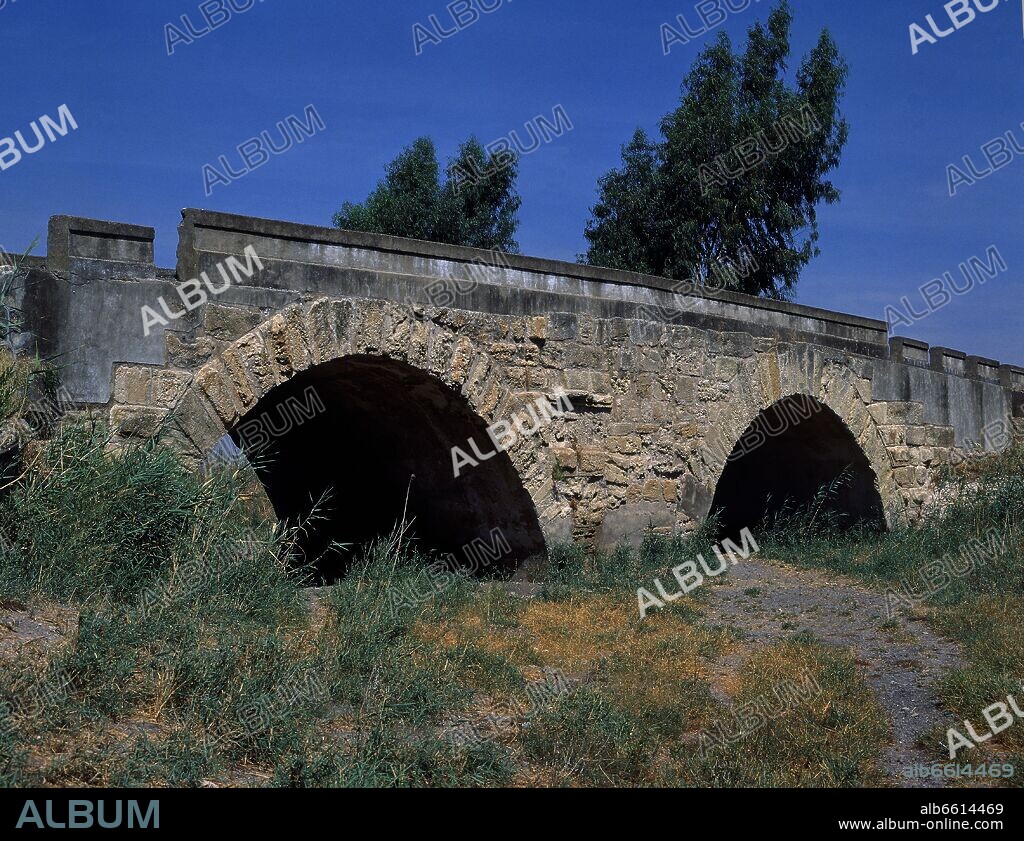 PUENTE DE ALCANTARILLA-ROMANO-SOBRE ARROYO SALADO DE MORON-OJOS.
