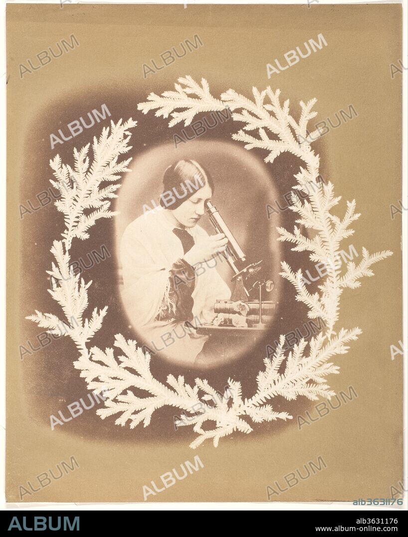 [Thereza Dillwyn Llewelyn with Her Microscope]. Artist: John Dillwyn Llewelyn (British, Swansea, Wales 1810-1882 Swansea, Wales). Dimensions: 23.5 x 18.7 cm (9 1/4 x 7 3/8 in. ). Date: ca. 1854.
The border of Llewelyn's image is a photogram of ferns, a clever variation on the decorative borders of lace, cut paper, or ink and watercolor that embellished many nineteenth-century albums. In the central vignette we see the photographer's daughter Thereza (1834-1926), with her books, botanical specimens, and scientific apparatus. [label for Gilman IV].