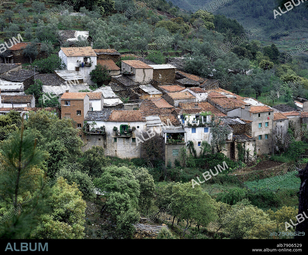 PANORAMICA DE AVELLANAR EN LA COMARCA DE LAS HURDES.