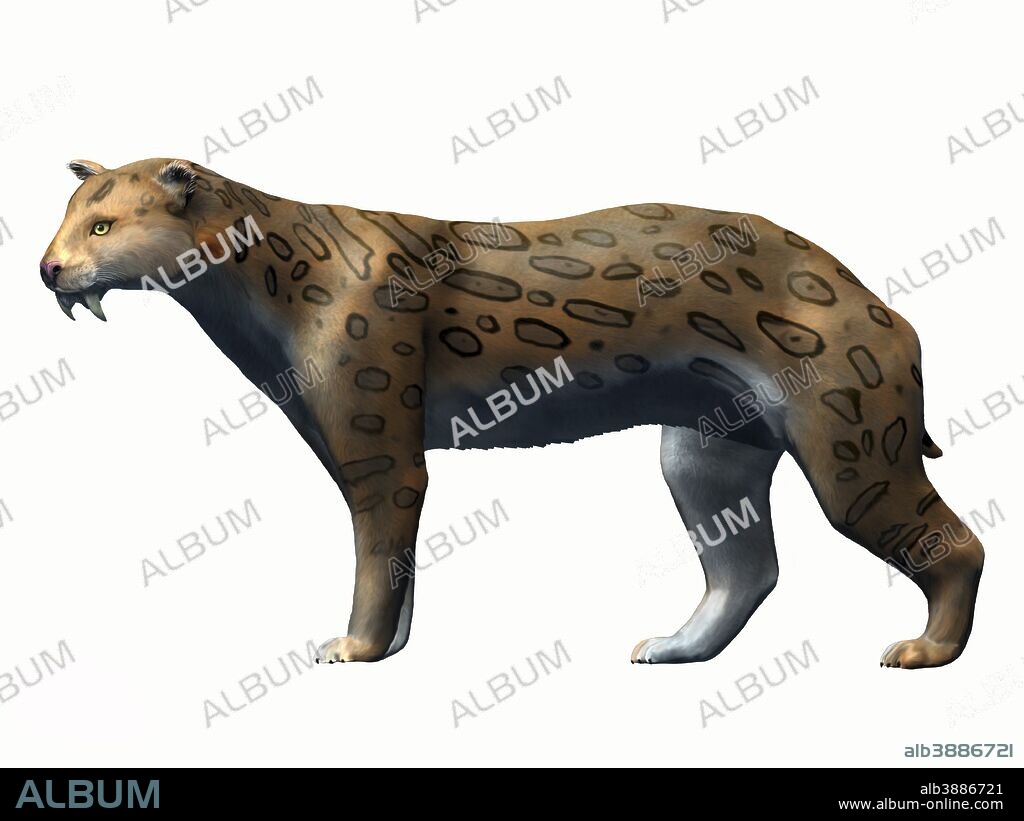 Megantereon cultridens, Pliocene of Europe.