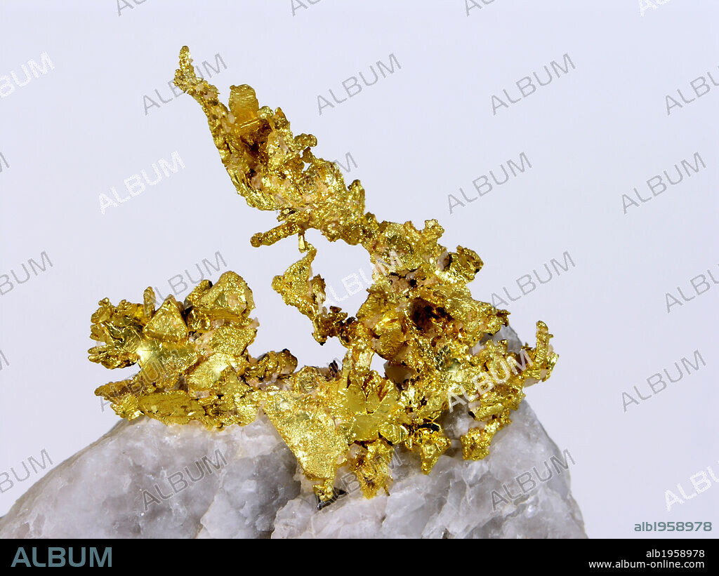 ORO NATIVO. Presente en la naturaleza como metal en estado nativo, único modo de presentarse debido a la escasa capacidad de combinarse con otros elementos.
