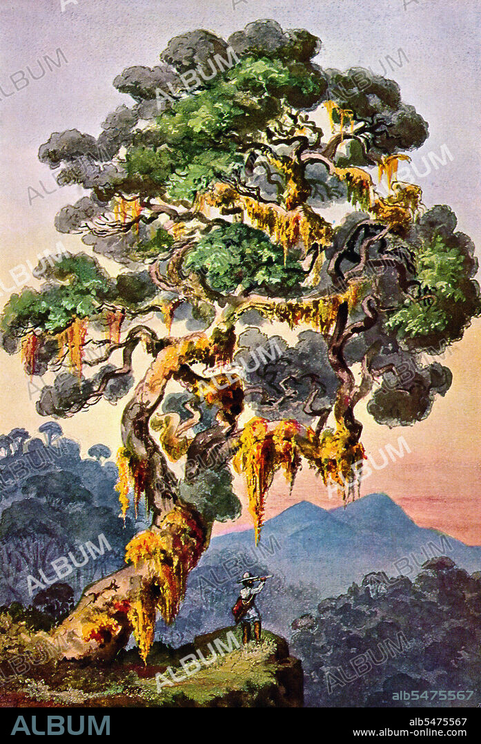 Ernst Heinrich Philipp August Haeckel (February 16, 1834 - August 9, 1919), also written von Haeckel, was an eminent German biologist, naturalist, philosopher, physician, professor and artist who discovered, described and named thousands of new species, mapped a genealogical tree relating all life forms, and coined many terms in biology, including anthropogeny, ecology, phylum, phylogeny, and the kingdom Protista. Haeckel promoted and popularized Charles Darwin's work in Germany.