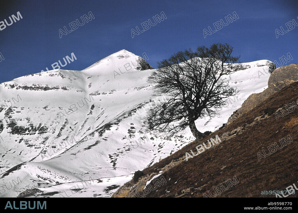Pico Ori(2021m.). Valle de Salazar.Pirineos Atlanticos. Navarra. España.
