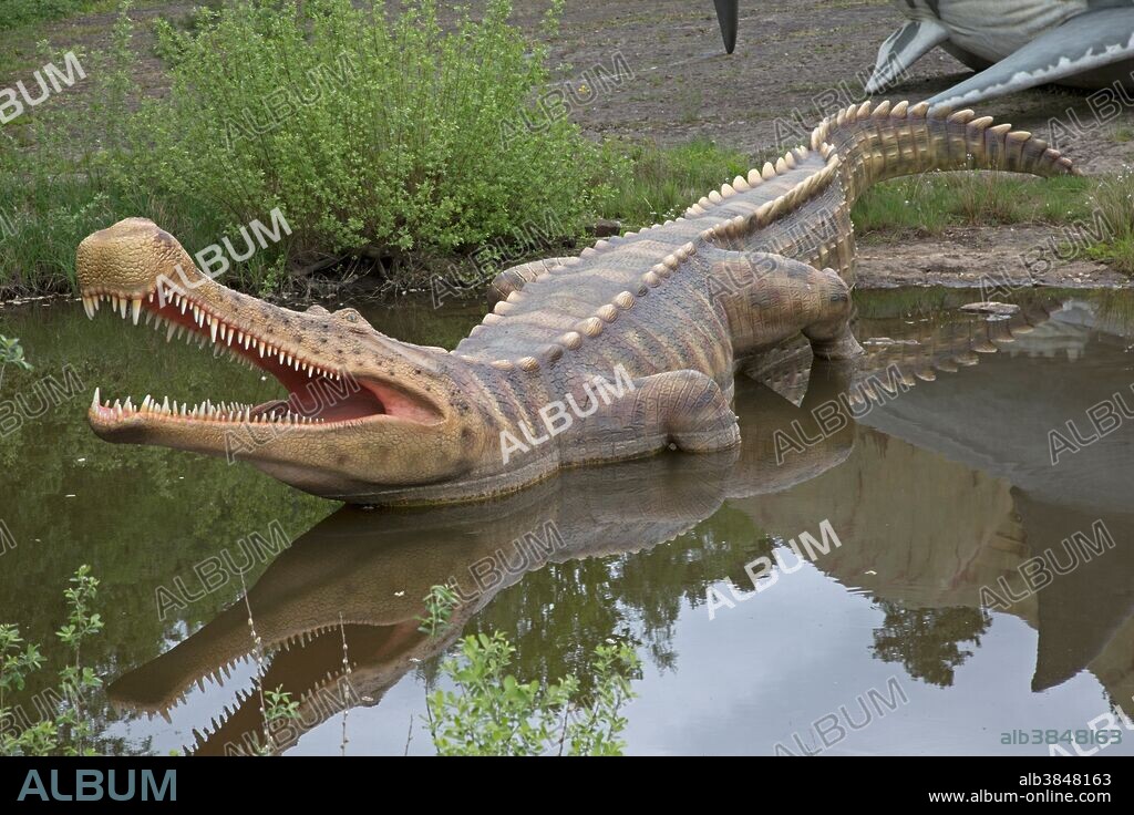 Sarcosuchus, an extinct giant crocodile of the Cretaceous Period, at Dinosaurier Park, Germany.
