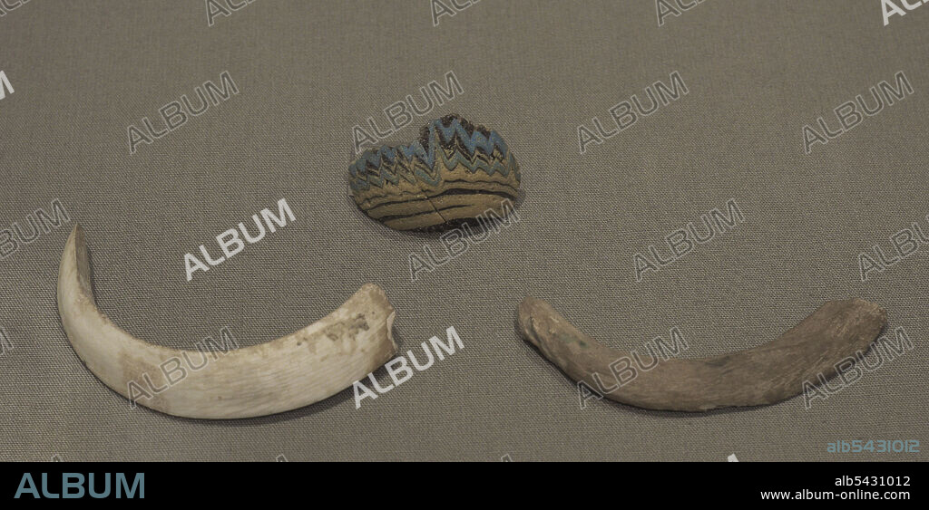 Fragmento de un pequeño frasco de perfume en vidrio opaco jaspeado y dos colmillos de cerdo. Procedente de una tumba excavada en la roca. Rabat, Gozo. Malta. Período púnico, siglo V a.C. Museo Arqueológico de Gozo. Cittadella de Victoria. Gozo, Malta.