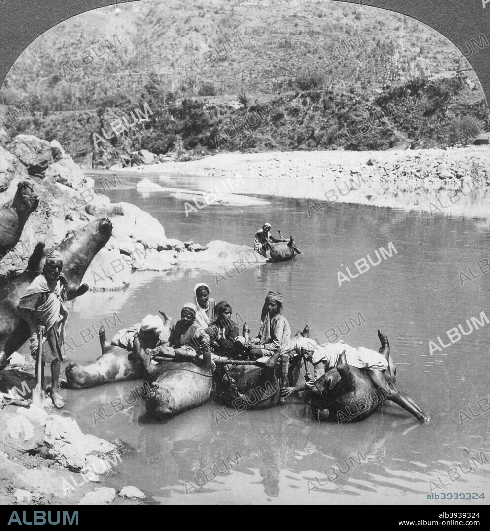 Inflated bullock skins used as ferry boats on the Sutlej River, Punjab, India, c1900s. Stereoscopic slide. Detail.