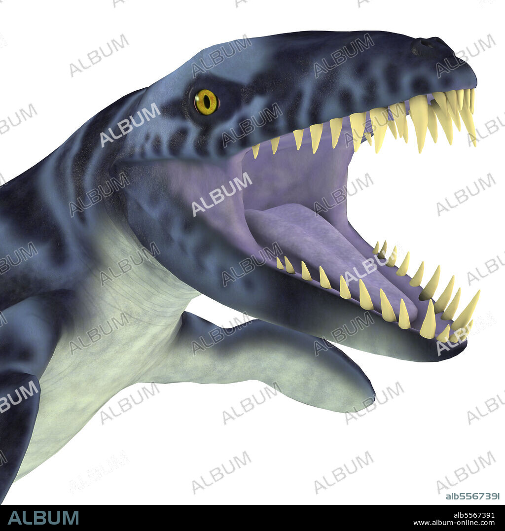 Carnivorous reptile hot sale