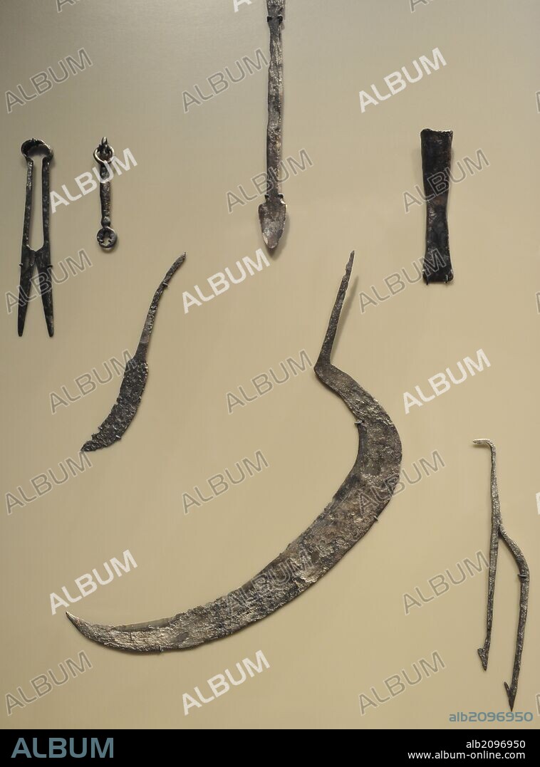 EDAD MEDIA. EUROPA. HERRAMIENTAS, INSTRUMENTOS de hierro: Hoz, tenazas, cuchara, cincel, cuchillo, cuchara, arpón. Fechados entre el siglo XII-XII. Neues Museum (Nuevo Museo). Berlín. Alemania. Europa.