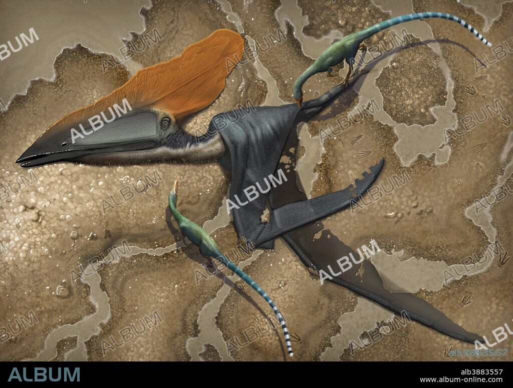Two small Mirischia scavengers pick away at the body of a dead Thalassodromeus sethi, a large pterosaur found in Brazil.